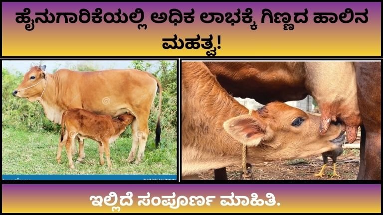 ginnada-halina-mahatva-