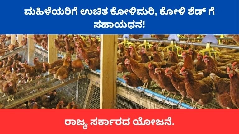 ಮಹಿಳೆಯರಿಗೆ-ಉಚಿತ-ಕೋಳಿಮರಿ-ಕೋಳಿ-ಶೆಡ್-ಗೆ-ಸಹಾಯಧನ-